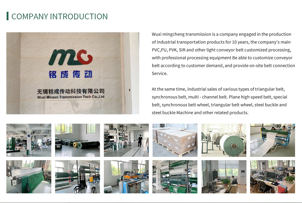 Green PVC/PU/Pvk Light Industrial Conveyor/Transmission Belting/Belt with Grass Grain Pattern